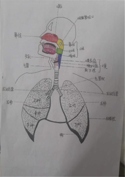 兒科一病區(qū)宣傳稿229.png