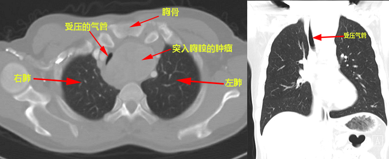 微信圖片_20210319104348.jpg