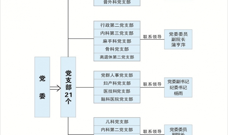 党组织关系结构图