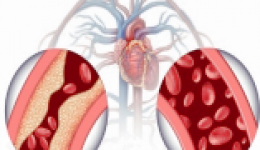 吸煙對(duì)健康的危害