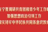 阿東在寧夏調研共青團和青少年工作時強調加強思想政治引領工作做實鑄牢中華民族共同體意識教育