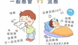 甲流三重防護(hù)策略