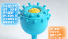 诺如病毒防护攻略：守护健康，远离“冬季呕吐病”