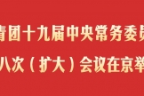 共青团十九届中央常务委员会第八次（扩大）会议在京举行